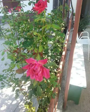 Apartmán Pavlinovic Jure *