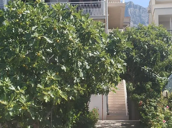 Апартаменти Pavlinovic Jure *