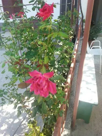 דירה Pavlinovic Jure *